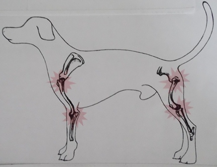 Zeichenhund fertig klein